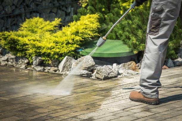 Best Sidewalk and Walkway Cleaning  in Magnolia, OH