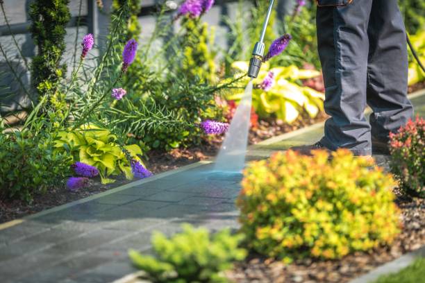 Best Parking Lot and Garage Cleaning  in Magnolia, OH